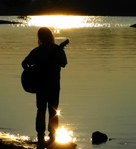 Craig Ogden, Guitarist