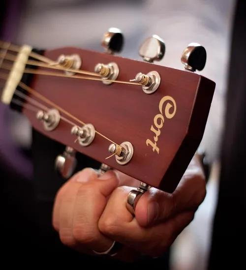 Craig Ogden, Guitarist