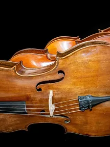 Maria José Falcão, cello